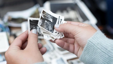 Мэрию Владимира в очередной раз оштрафовали за использование чужих фото