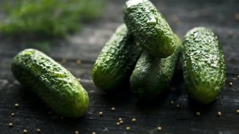 Улицы в Суздале перекроют из-за Дня огурца