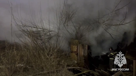 Спасатели назвали причину пожара у ресторана «Макс Брой» во Владимире