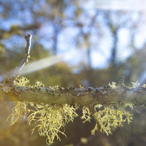 Апрельское тепло во Владимире побило рекорд 41-летней давности