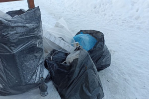 Во Владимирской области начали решать проблемы с вывозом мусора