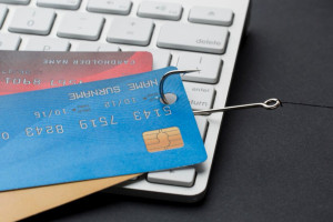 Во Владимирской области жители за неделю перевели более 23 млн рублей IT-мошенникам