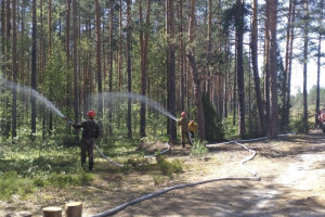 Владимирская область получит 6 автоцистерн для тушения лесных пожаров