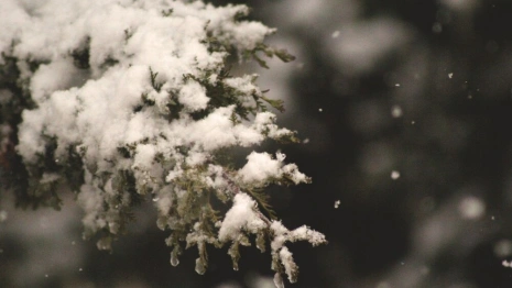 Синоптик Шувалов назвал дату первого снега во Владимире