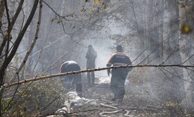 Площадь пожара в Камешковском районе сократилась до 1,6 га