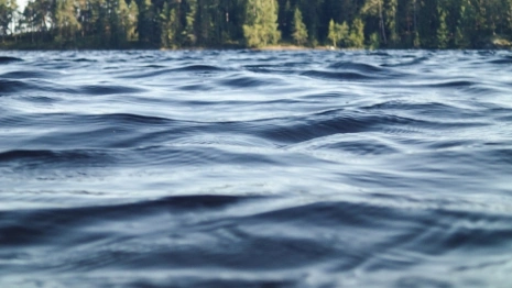 Во Владимирской области утонули 7 детей и 28 взрослых