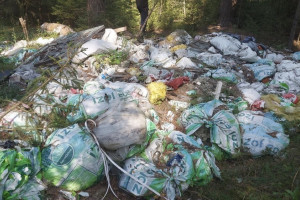 Минлесхоза во Владимирской области попало под суд из-за стихийной свалки в Коврове