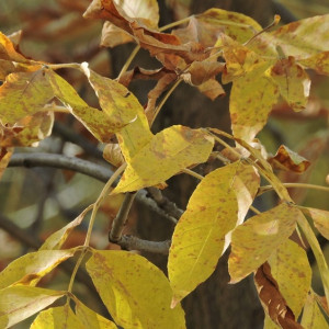 Прогноз погоды во Владимире и области на 13 мая 2024 года