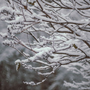 Прогноз погоды во Владимирской области на 3 января