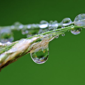 Иванов День: что можно и чего категорически нельзя делать 7 июня