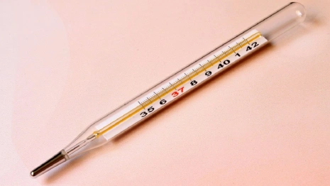 Во Владимирской области подтвердили 80 случаев ковида