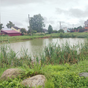 Смерть на глазах у пьяной матери. Что известно о гибели мальчика в пруду в Юрьев-Польском