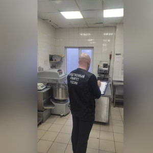 Массовое отравление в пиццерии Коврова привело к уголовному делу