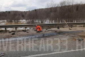 Пострадавших в жутком ДТП под Кольчугино госпитализировали