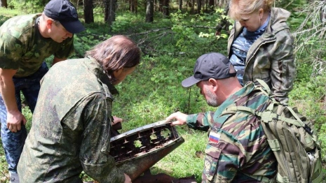 В Киржачском районе нашли остатки самолета времен Великой Отечественной войны