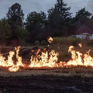 Во Владимирской области произошло 327 ландшафтных пожаров