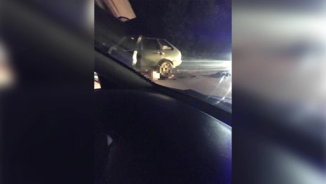 Во Владимирской области водитель «девятки» задавил пешехода и сбежал