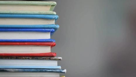 Во Владимире золотые медали получат 177 выпускников