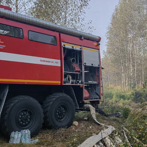 Владимирские спасатели потушили пожар у озера Гусинка
