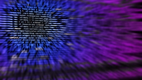 Власти обеспечат стажировку студентов в IT-предприятиях