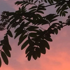 Епифаний Кипрский. Что можно и нельзя делать 25 мая