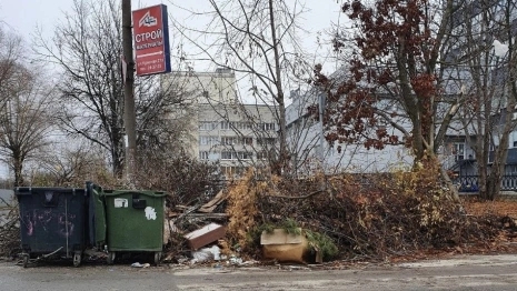 Дмитрия Наумова наказали за замусоренный Владимир
