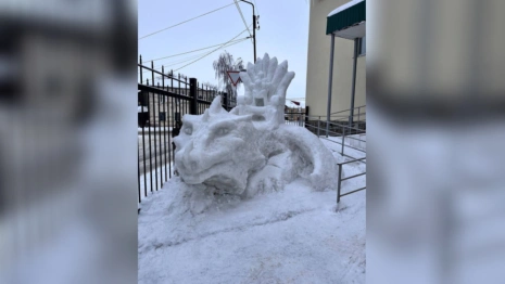 Автором снежных фигур в Юрьев-Польском оказался беженец