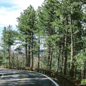 Во Владимирской области спасли пропавшего 38-летний мужчину со спортивной сумкой