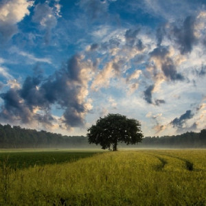 Экс-главу Коврова будут судить за халатность в выделении земли многодетным 