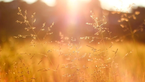 Синоптики рассказали о погоде в выходные во Владимирской области