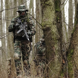 Добровольцам из Владимирской области пообещали крупную сумму за участие в спецоперации 