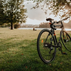 Во Владимирской области украли велосипеды на 1 млн рублей