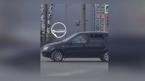 В Коврове отштрафовали мать, посадившую за руль 2-летнюю дочь