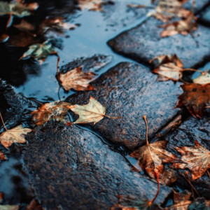 Прогноз погоды во Владимирской области на 17 октября