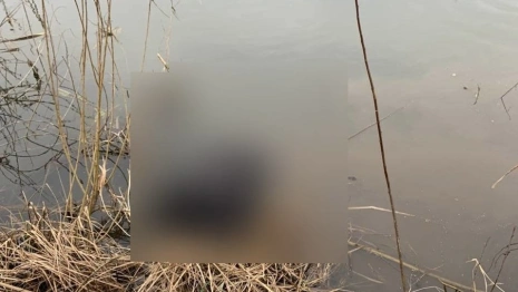 Из Колокши в Собинском районе выловили труп рыбака