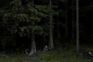 Во Владимирской области 42-летнего мужчину с рюкзаком нашли мертвым