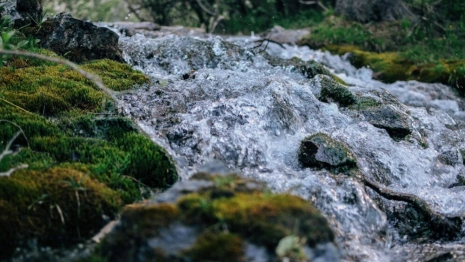 Народные приметы на 2 марта: что можно и нельзя делать в Федоров день