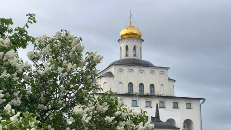 Прогноз погоды во Владимире и области на 19 июня