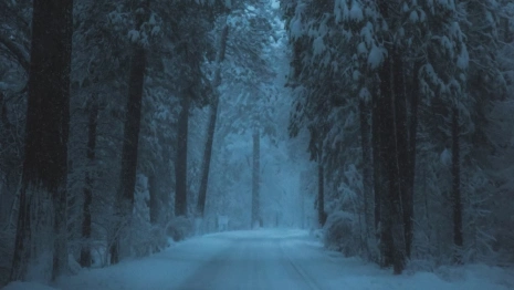 Во Владимирской области нашли мертвым 85-летнего дедушку