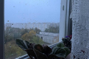 Прогноз погоды во Владимире и области на 24 октября