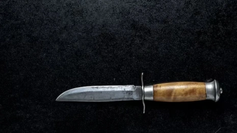 Зарезавшую брата жительницу Владимира осудили на 10 лет