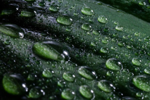 Владимирская область окажется под ударом стихии