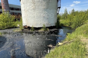 В Муроме ликвидируют утечку мазута около котельной после гибели животных