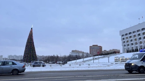 Во Владимире поставили «Пизанскую елку» у Белого дома
