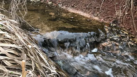 Во Владимире проверка воды в 7 родниках доказала ее чистоту