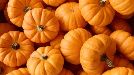 Врачи рассказали, какие сезонные продукты помогут укрепить иммунитет