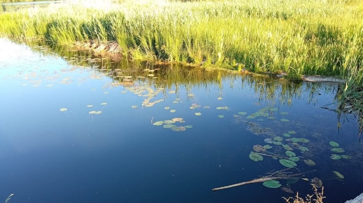 Обл вода. Покров озеро. Озеро бездонное Владимирская область. Лесное озеро Рязанская область. Озеро черное Вологодская область.