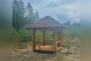 Во Владимирской области назвали лучшее место для отдыха в лесу