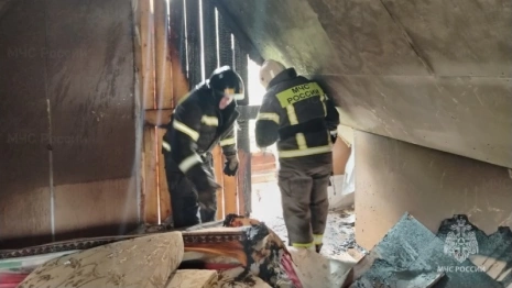 Стала известна личность пострадавшей при пожаре на даче в Коврове