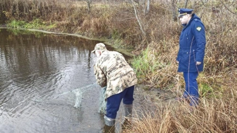 На озере во владимирском заказнике нашли запрещенные для вылова рыбы сети